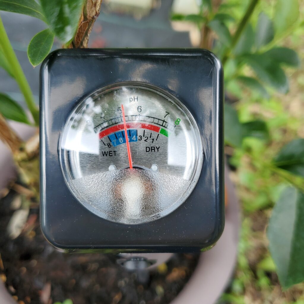 水を掛けつつ、コンディションを調整します。
