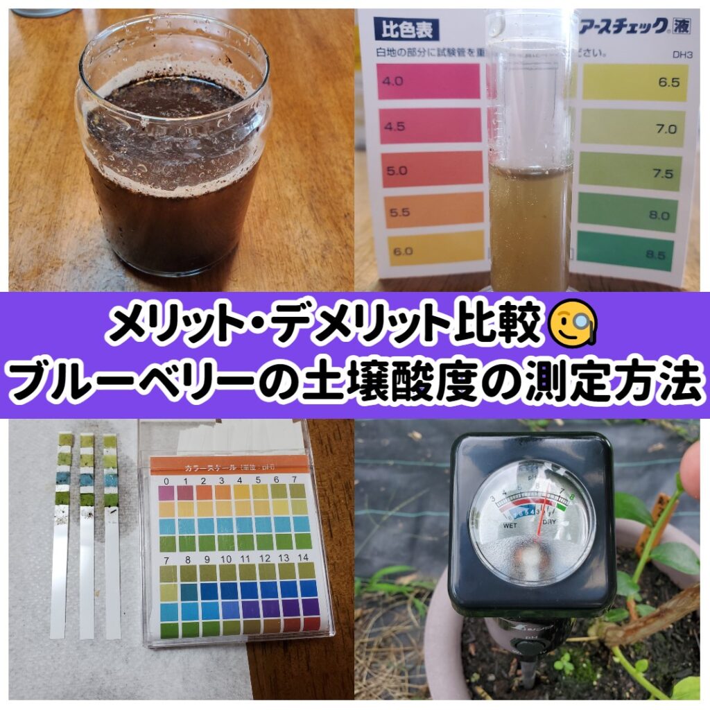 メリット・デメリット比較🧐ブルーベリーの土壌酸度の測定方法